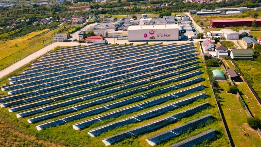 Caroli Foods Group a finanțat singur un parc fotovoltaic de 1,3 milioane euro
