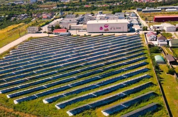 Caroli Foods Group a finanțat singur un parc fotovoltaic de 1,3 milioane euro