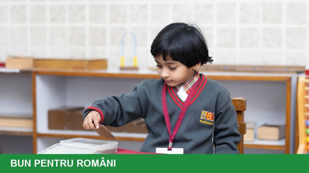 Două subiecte noi în școală: AI și sustenabilitate, începând cu 2027-2028