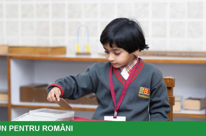 Două subiecte noi în școală: AI și sustenabilitate, începând cu 2027-2028