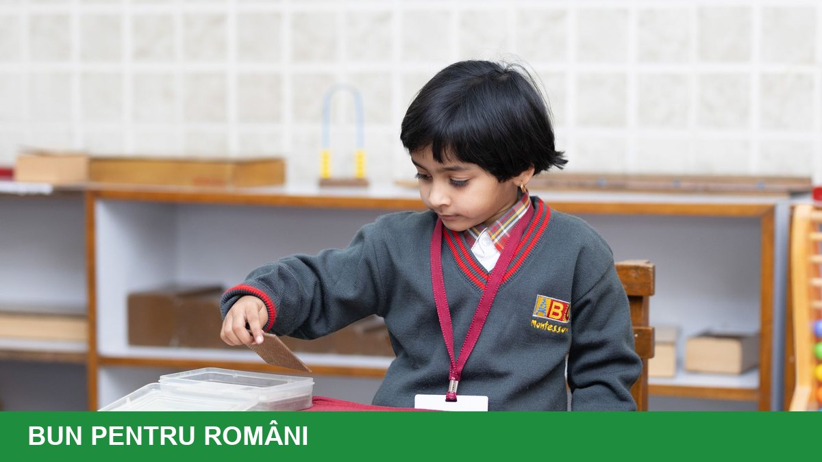 Două subiecte noi în școală: AI și sustenabilitate, începând cu 2027-2028